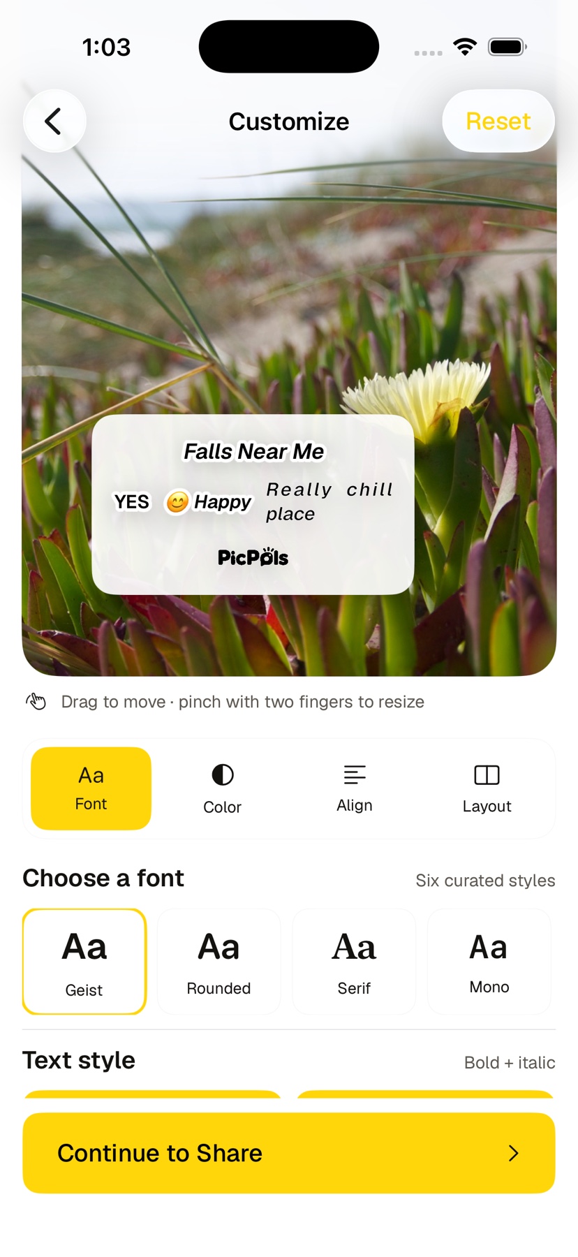PicPols Create customization with a review template